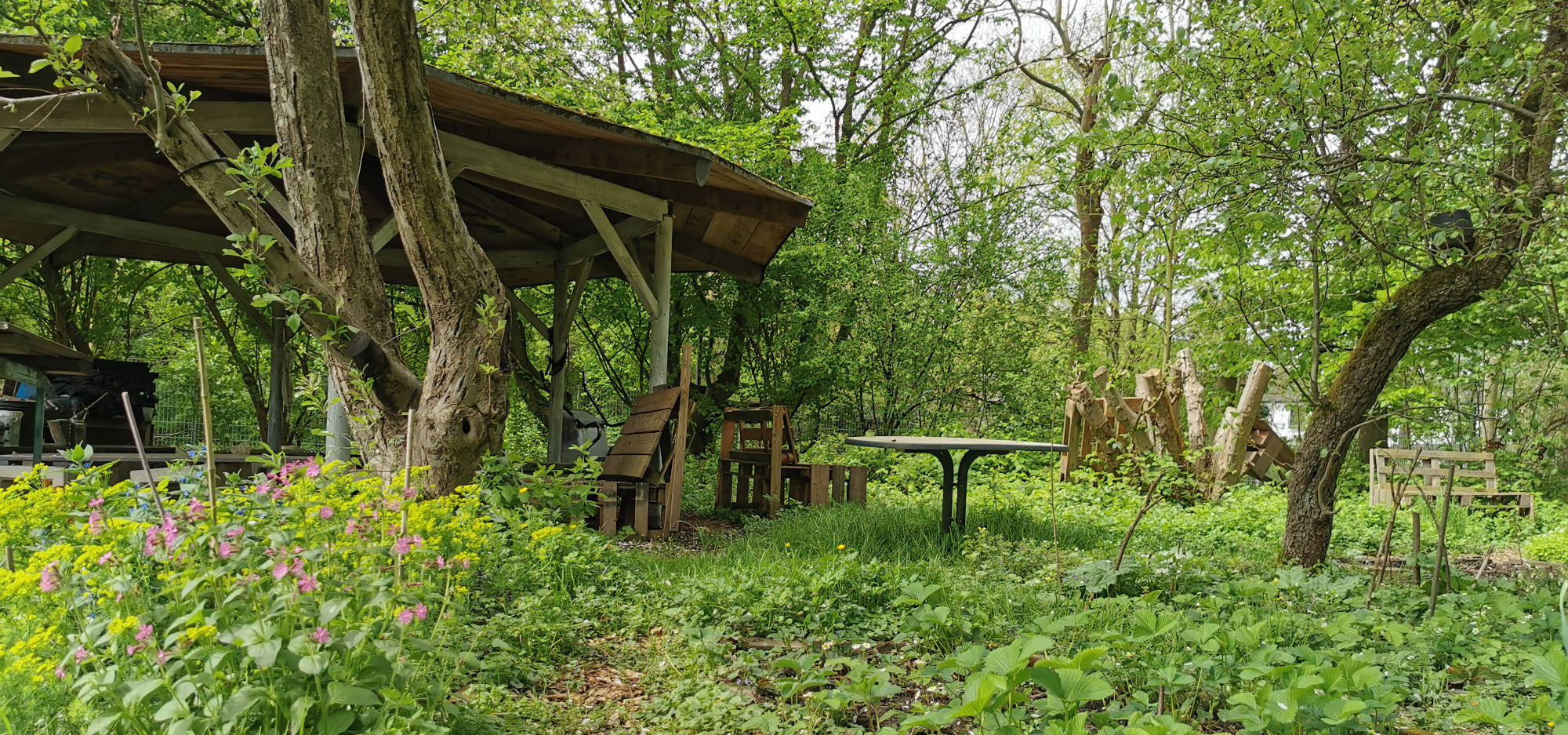 GEHW Schulgarten 8