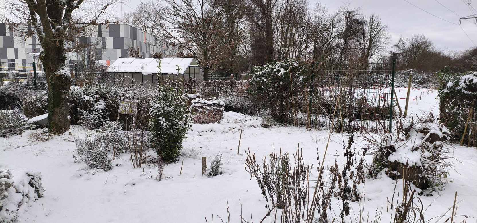 GEHW Feuer im Schnee 2