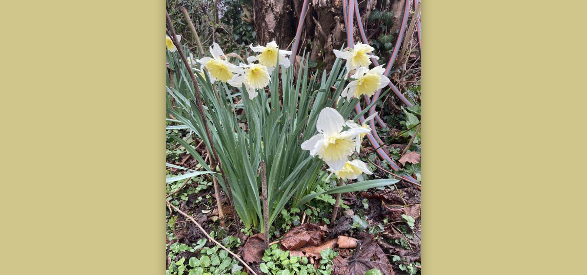 GEHW Aktionstag 2026