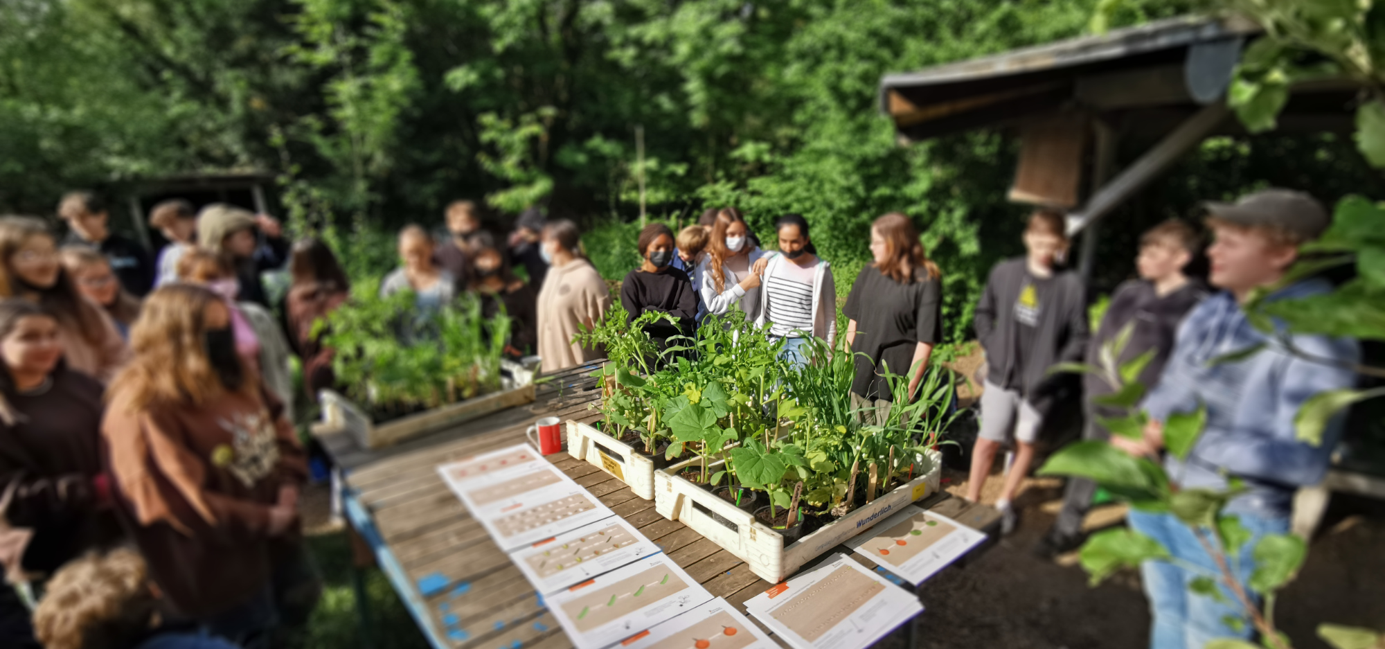 GEHW Schulgarten 2 Kopie