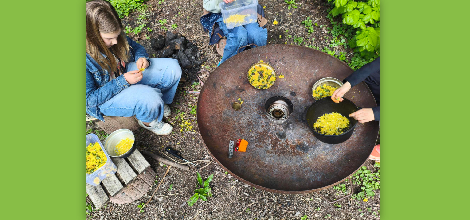 GEHW Löwenzahnhonig